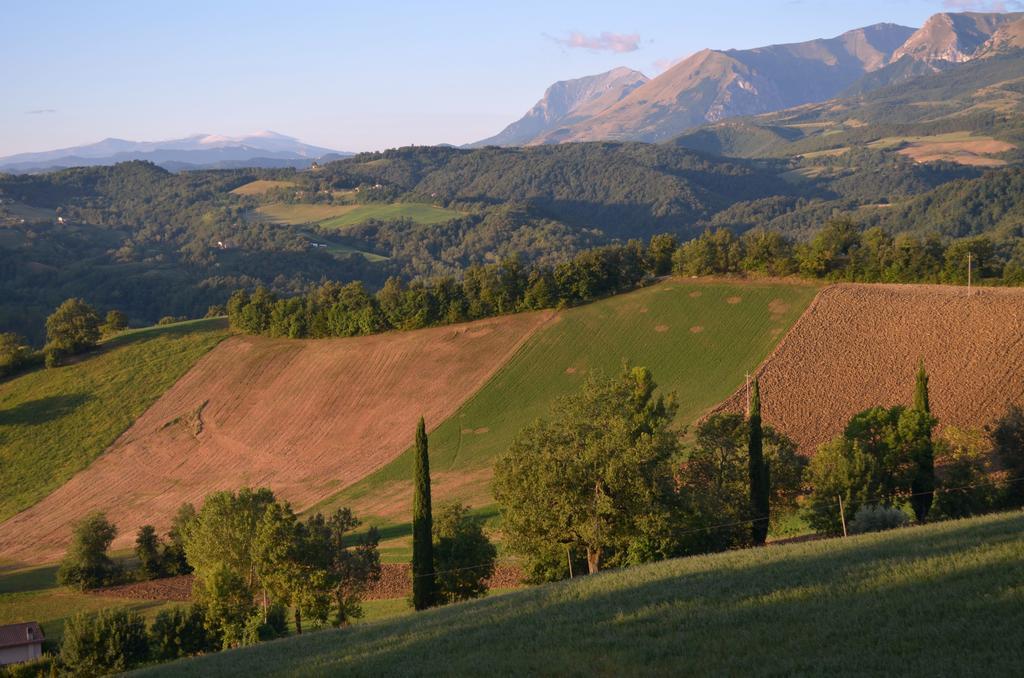 Agriturismo Serpanera Sarnano Esterno foto