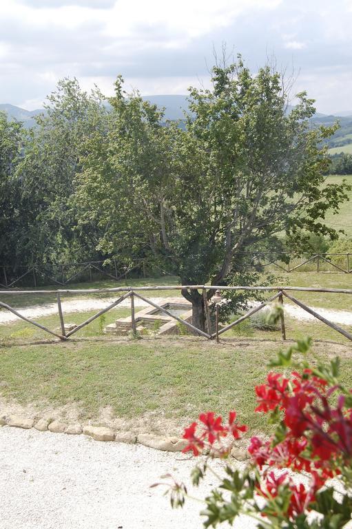 Agriturismo Serpanera Sarnano Esterno foto